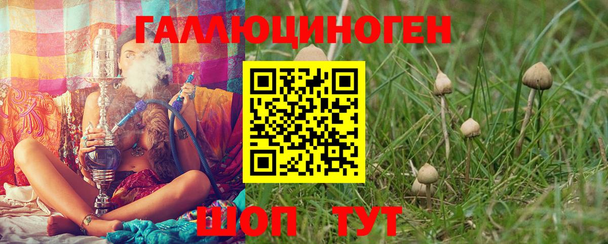 как найти закладки  Вход с VPN  Аргун  Галлюциногенные грибы Psilocybine cubensis 