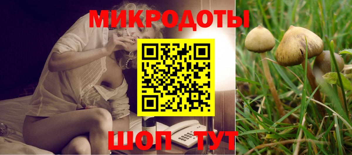 Галлюциногенные грибы Psilocybe Аргун